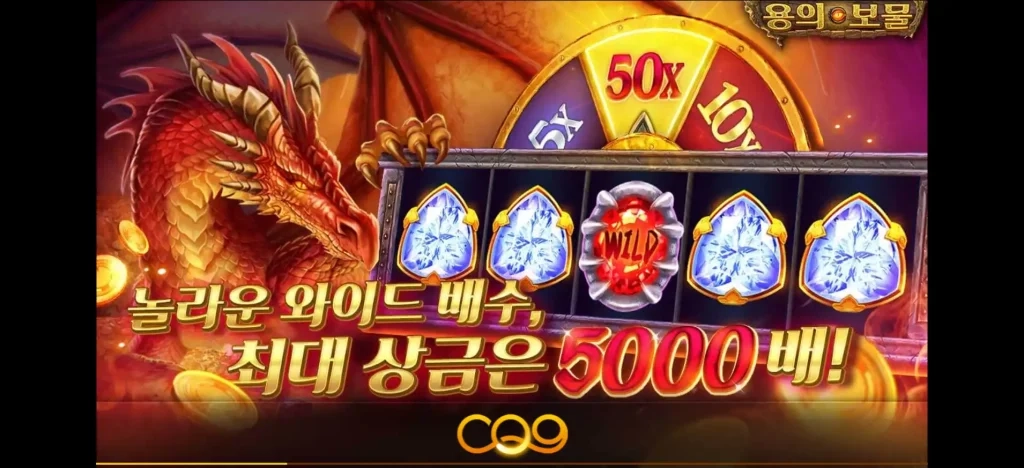 드래곤즈 트레져