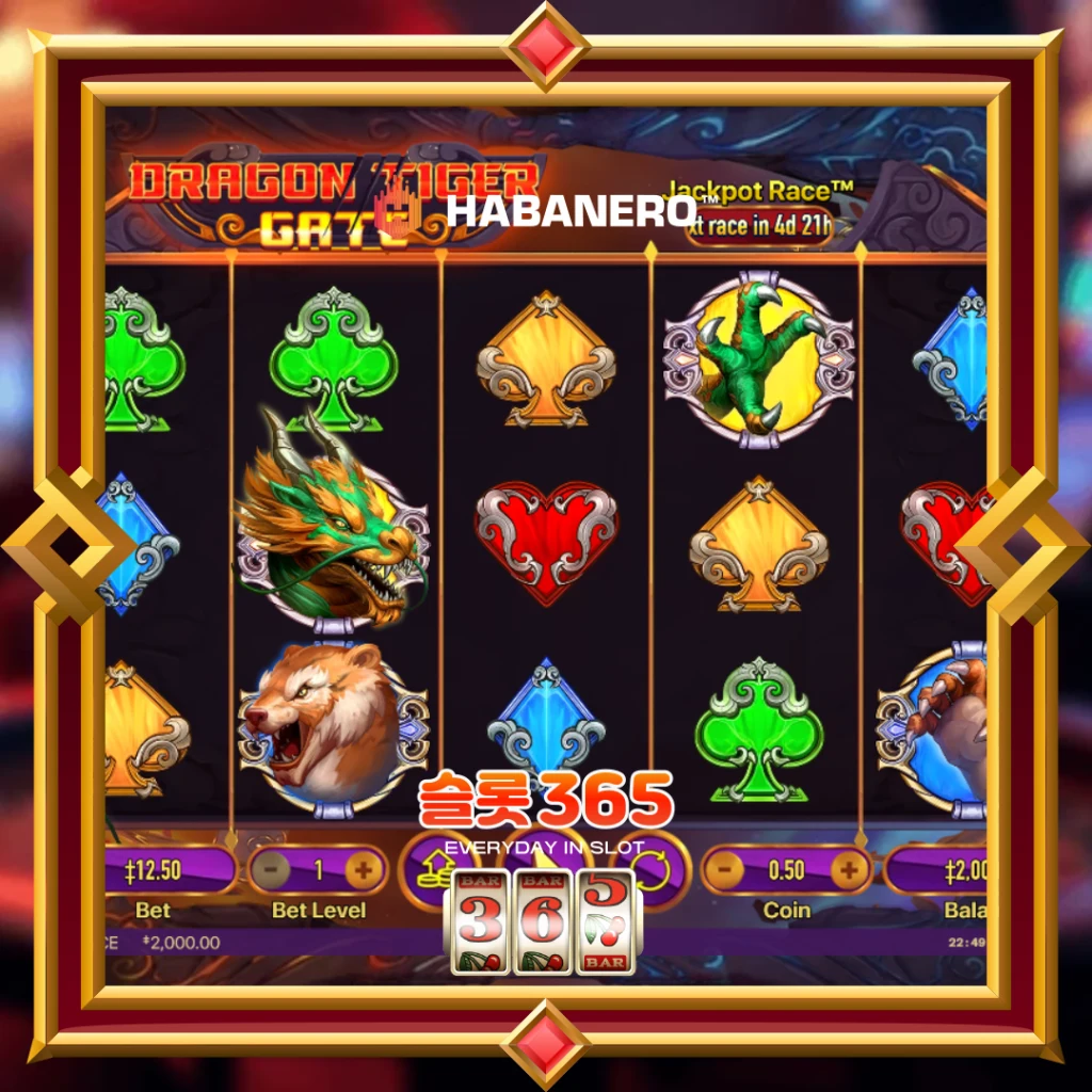 드래곤 타이거 게이트