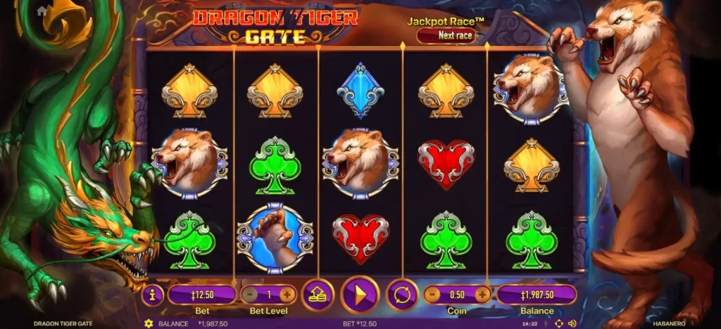 드래곤 타이거 게이트