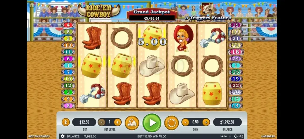 라이드 뎀 카우보이