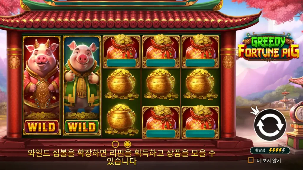 Greedy Fortune Pig