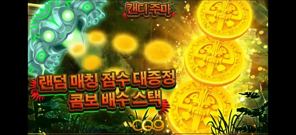 캔디 주마