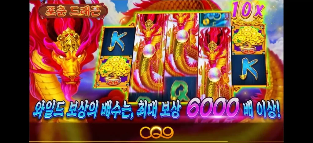 포춘 드래곤