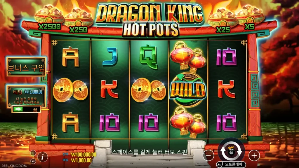 Dragon King Hot Pots